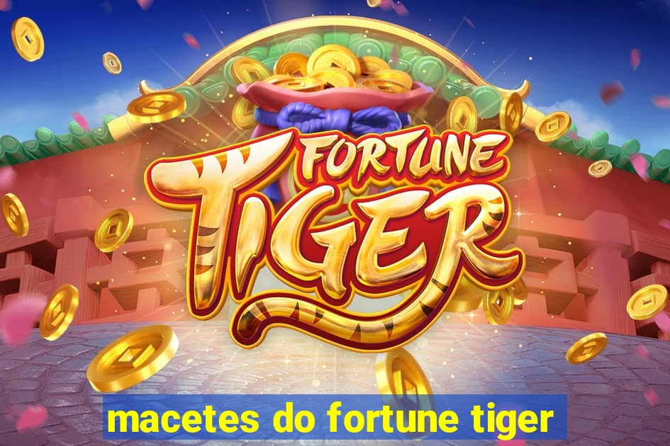 macetes do fortune tiger