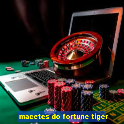 macetes do fortune tiger