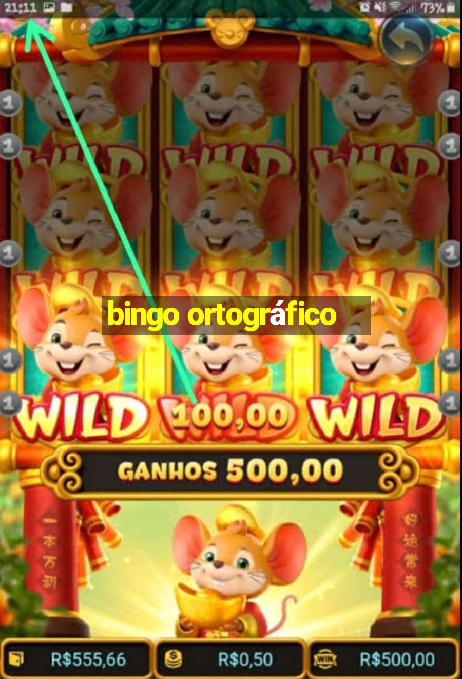 bingo ortográfico