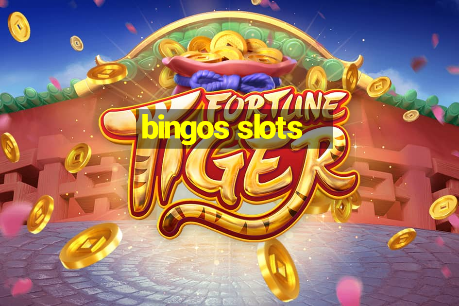 bingos slots