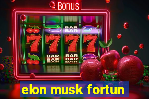 elon musk fortun