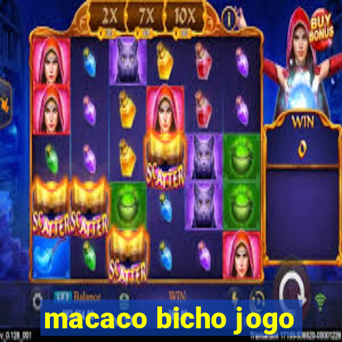 macaco bicho jogo