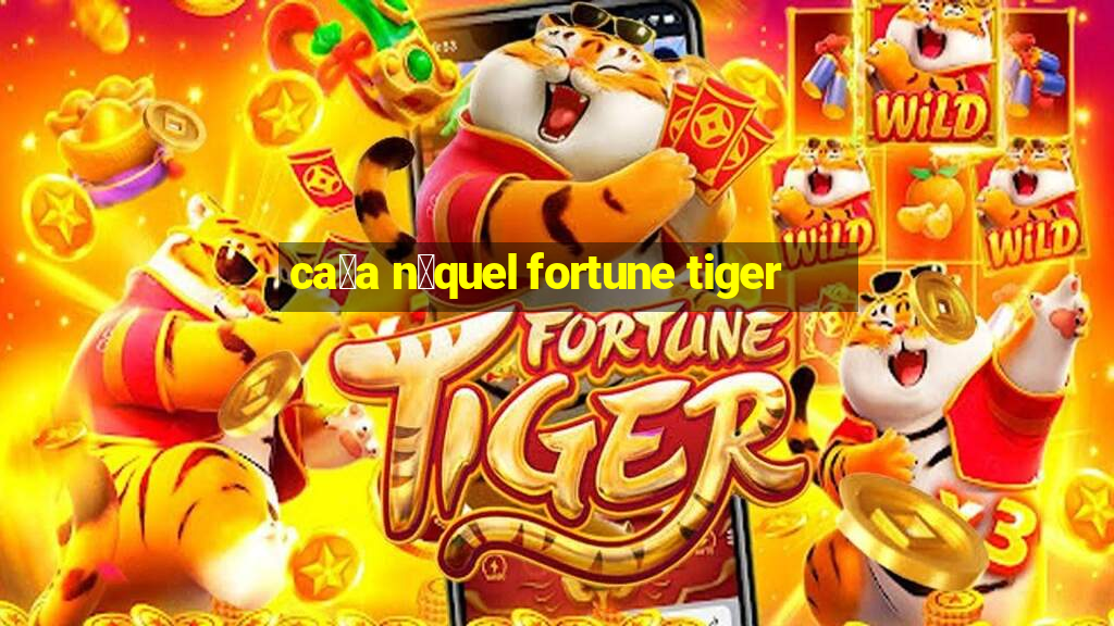 ca莽a n铆quel fortune tiger