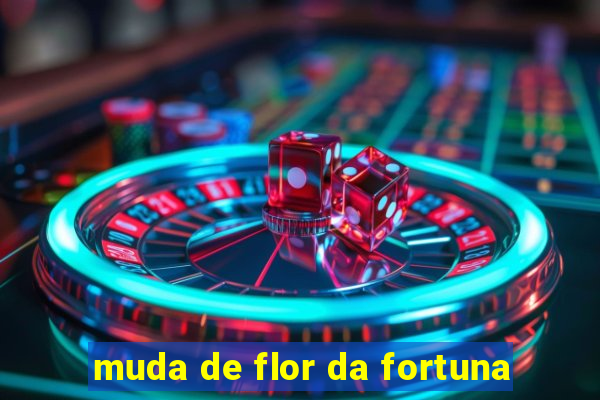 muda de flor da fortuna