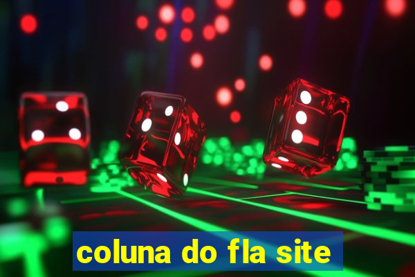 coluna do fla site