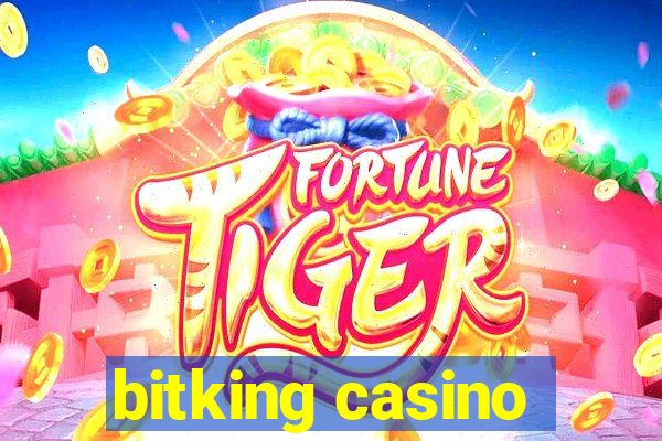 bitking casino