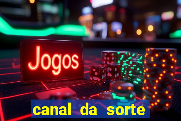 canal da sorte bingo de hoje