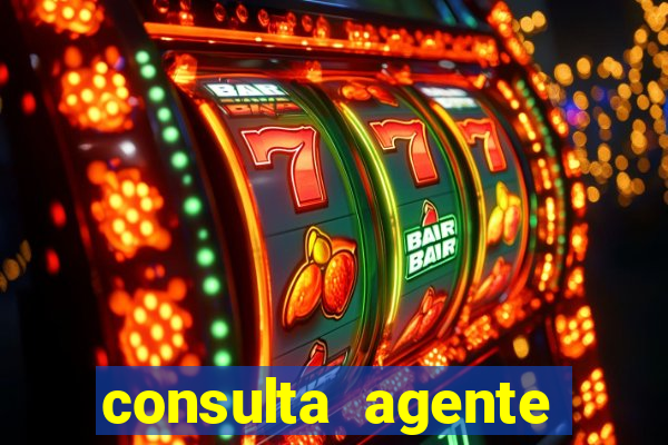 consulta agente autuador sp