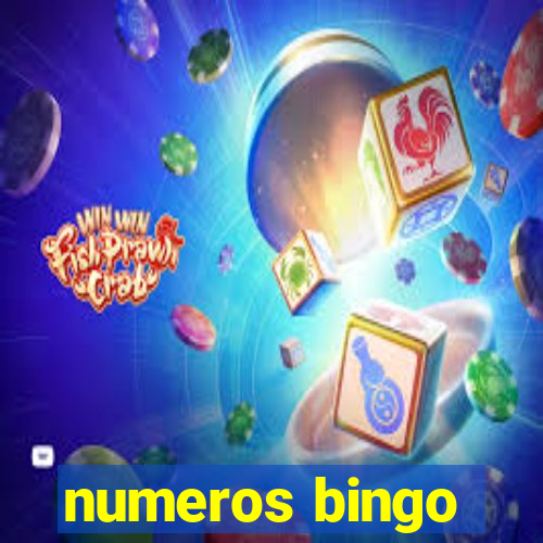 numeros bingo