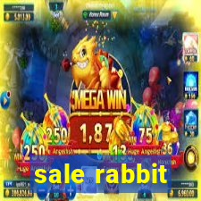 sale rabbit