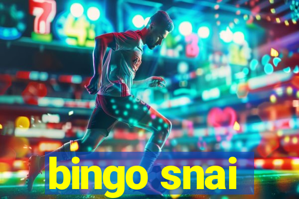 bingo snai