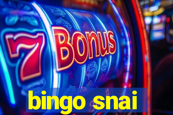 bingo snai