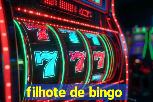 filhote de bingo