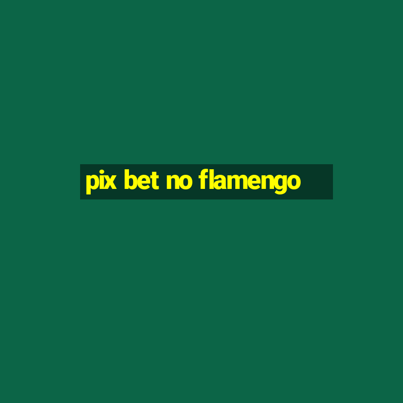 pix bet no flamengo