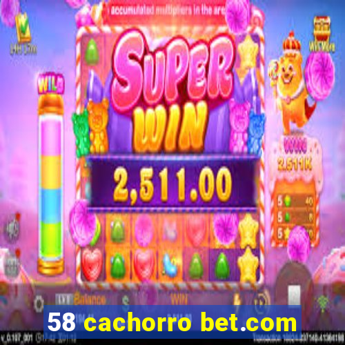 58 cachorro bet.com