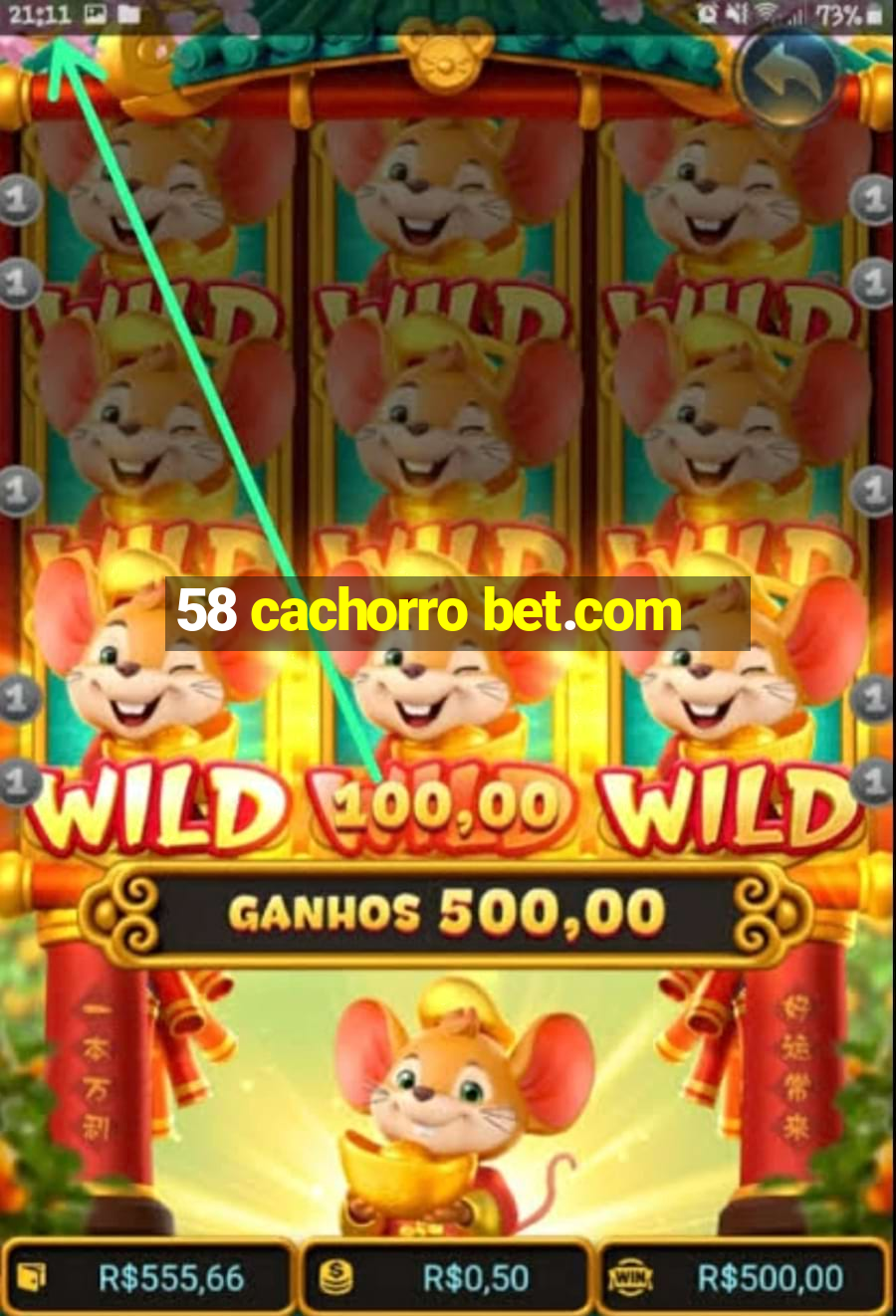 58 cachorro bet.com