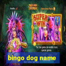 bingo dog name