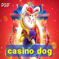 casino dog