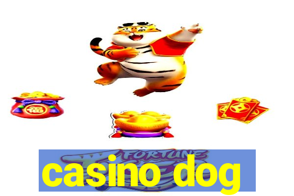 casino dog