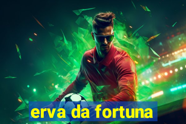 erva da fortuna