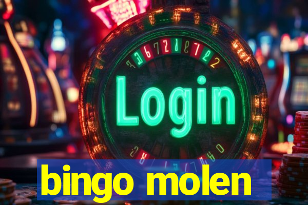 bingo molen