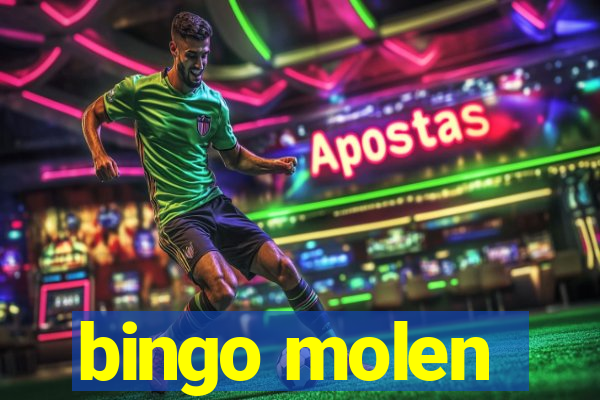 bingo molen