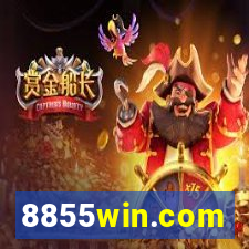 8855win.com