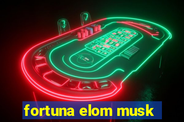 fortuna elom musk