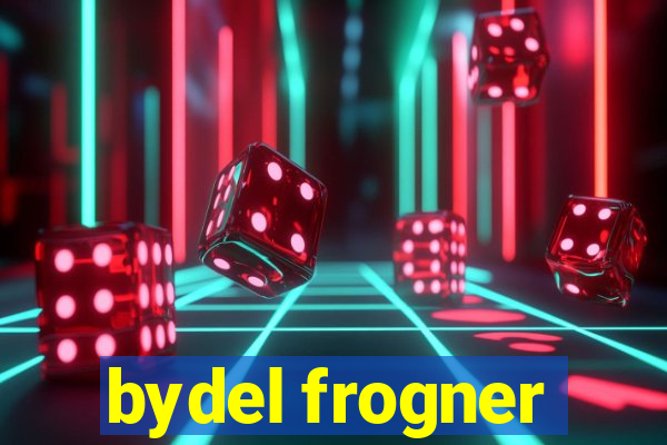 bydel frogner