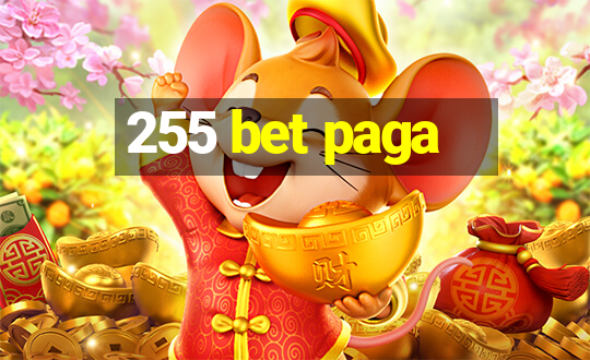 255 bet paga