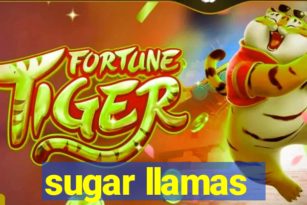 sugar llamas