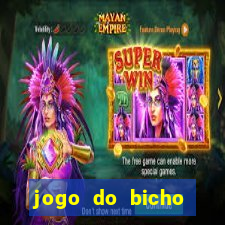 jogo do bicho globo play