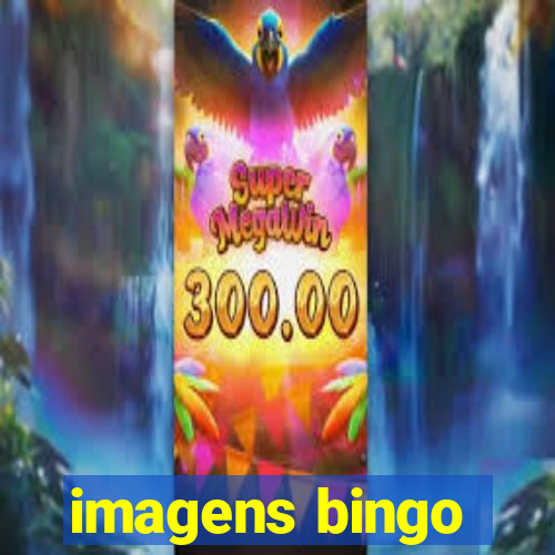 imagens bingo