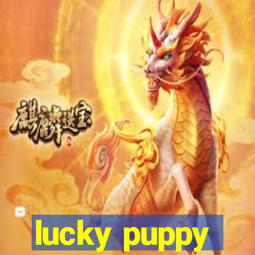 lucky puppy