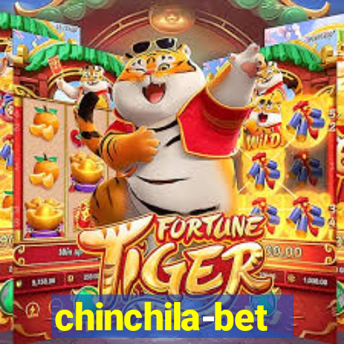 chinchila-bet