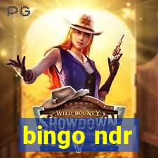 bingo ndr