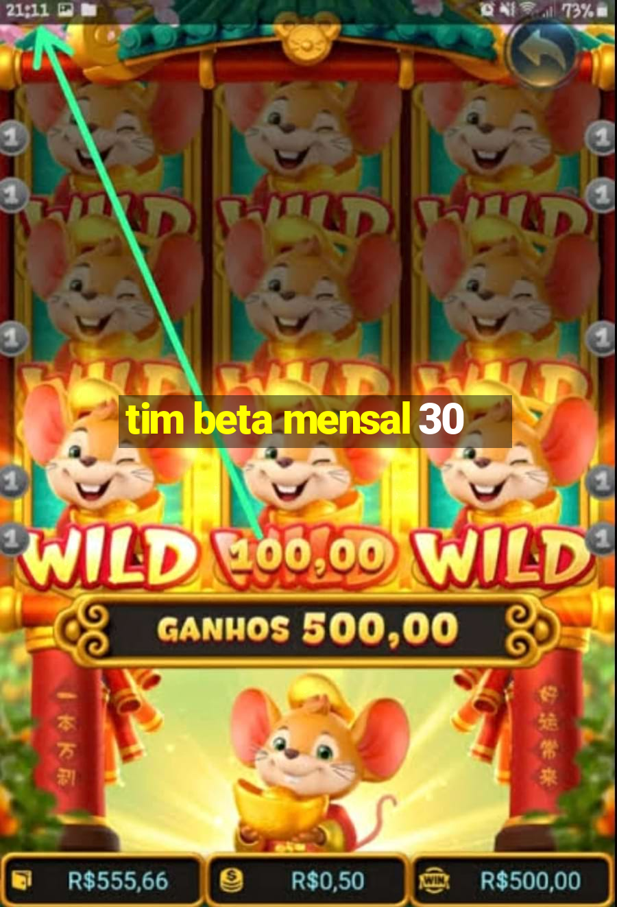 tim beta mensal 30