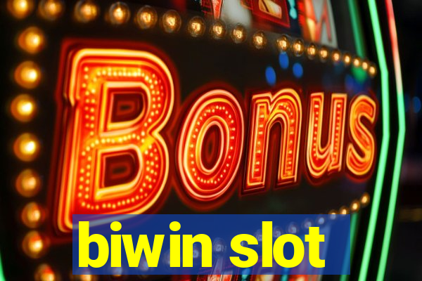 biwin slot