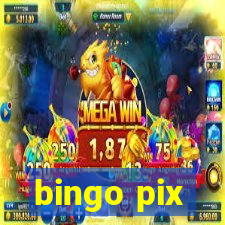 bingo pix