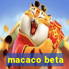 macaco beta