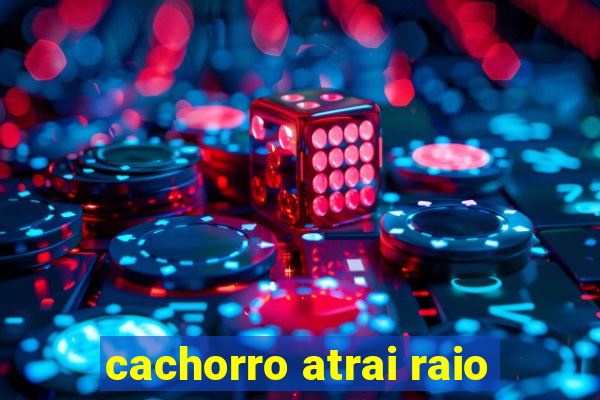 cachorro atrai raio