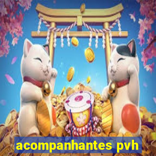 acompanhantes pvh