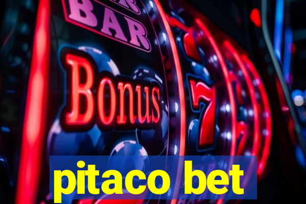 pitaco bet