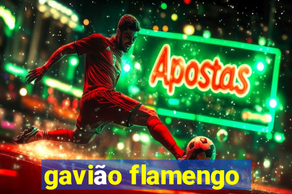 gavião flamengo