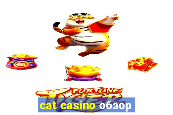 cat casino обзор