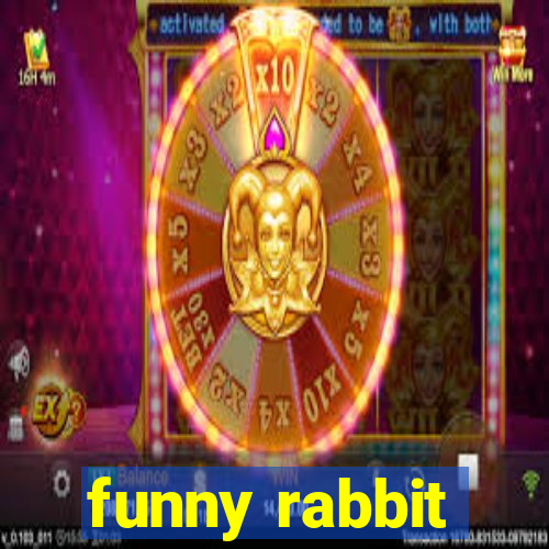 funny rabbit