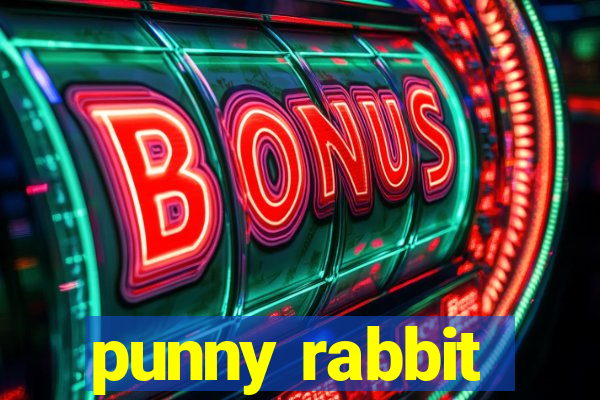 punny rabbit