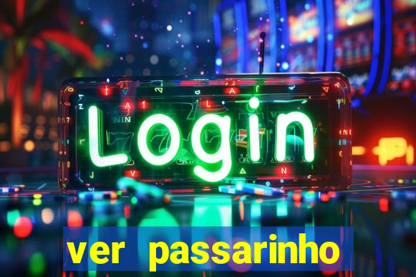 ver passarinho morto significado