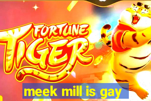 meek mill is gay