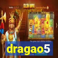 dragao5